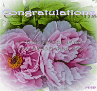 Congratulations With Watermark
