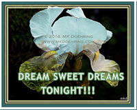 Dream Sweet Dreams Tonight With Watermark